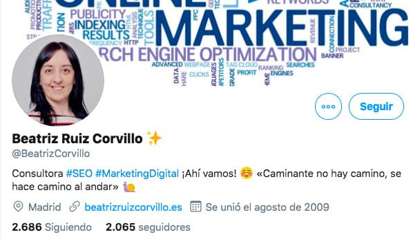 ejemplo de bio en perfil de Twitter