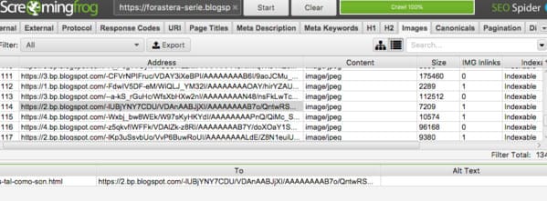 Localizar texto alt con Screaming Frog