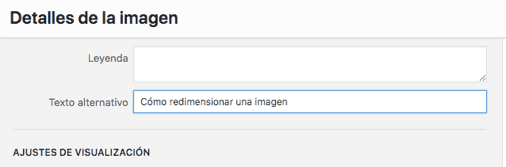 Añadir texto Alternativo en una imagen